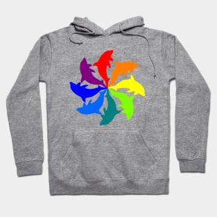 Dolphin Color Wheel Hoodie